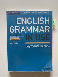 Libro English Grammar in Use