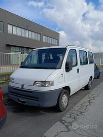 FIAT Ducato Panorama 9 posti ESENTE BOLLO
