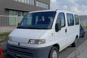 FIAT Ducato Panorama 9 posti ESENTE BOLLO