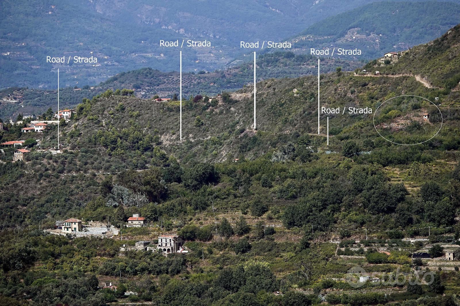 Riviera / Terreno edificabile / 600m sopra Sanremo - Vista 4
