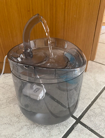 Fontanella acqua per gatti