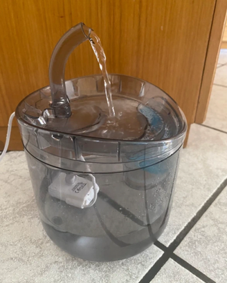 Fontanella acqua per gatti