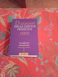 Dizionario italiano -francese