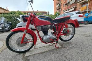 Altro Altro modello - 1965