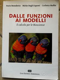 Dalle funzioni ai modelli