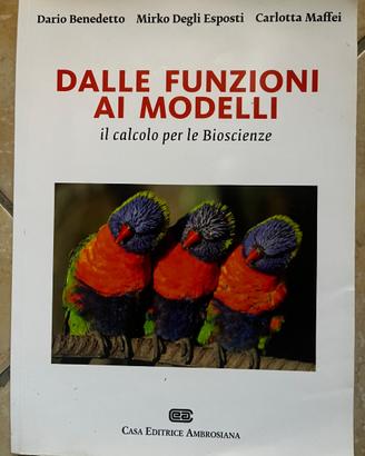 Dalle funzioni ai modelli
