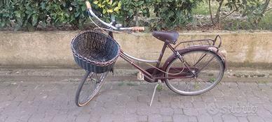 Bici da donna 26