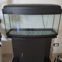 acquario 80 litri