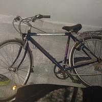 Bicicletta uomo Bottecchia ALLOY