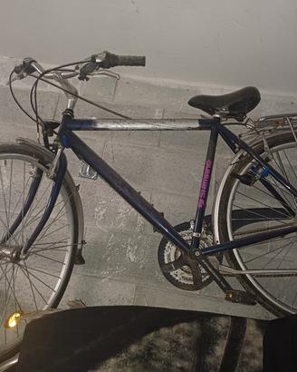 Bicicletta uomo Bottecchia ALLOY