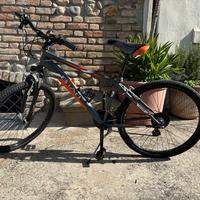 Bicicletta BiArt