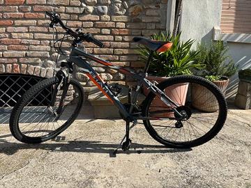 Bicicletta BiArt