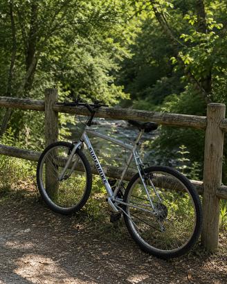 Mountain Bike SUPERBIKE – Grigia – Usata – 100 €
