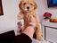 Immagine 16