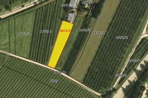 Terreno agricolo nel comune di levico