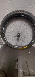 ruota anteriore dt swiss h1900