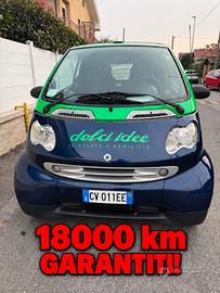 Smart 18000km garantiti