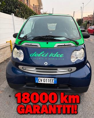Smart 18000km garantiti