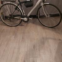 Bicicletta uomo
