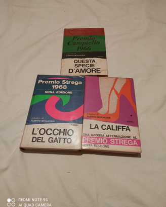 Le opere di Alberto Bevilacqua