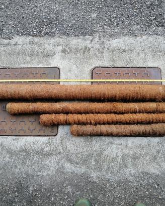Bastoni muschiati