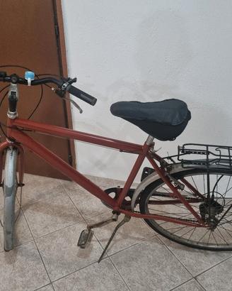 bicicletta uomo