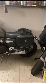 Kit Borse laterali Triumph Speed Twin 1200