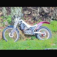 Trial beta synt 260