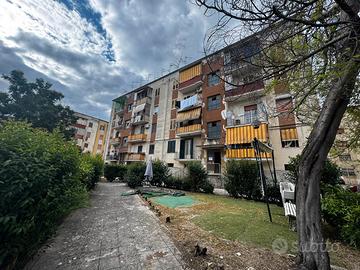 Via Girolamo Vitelli