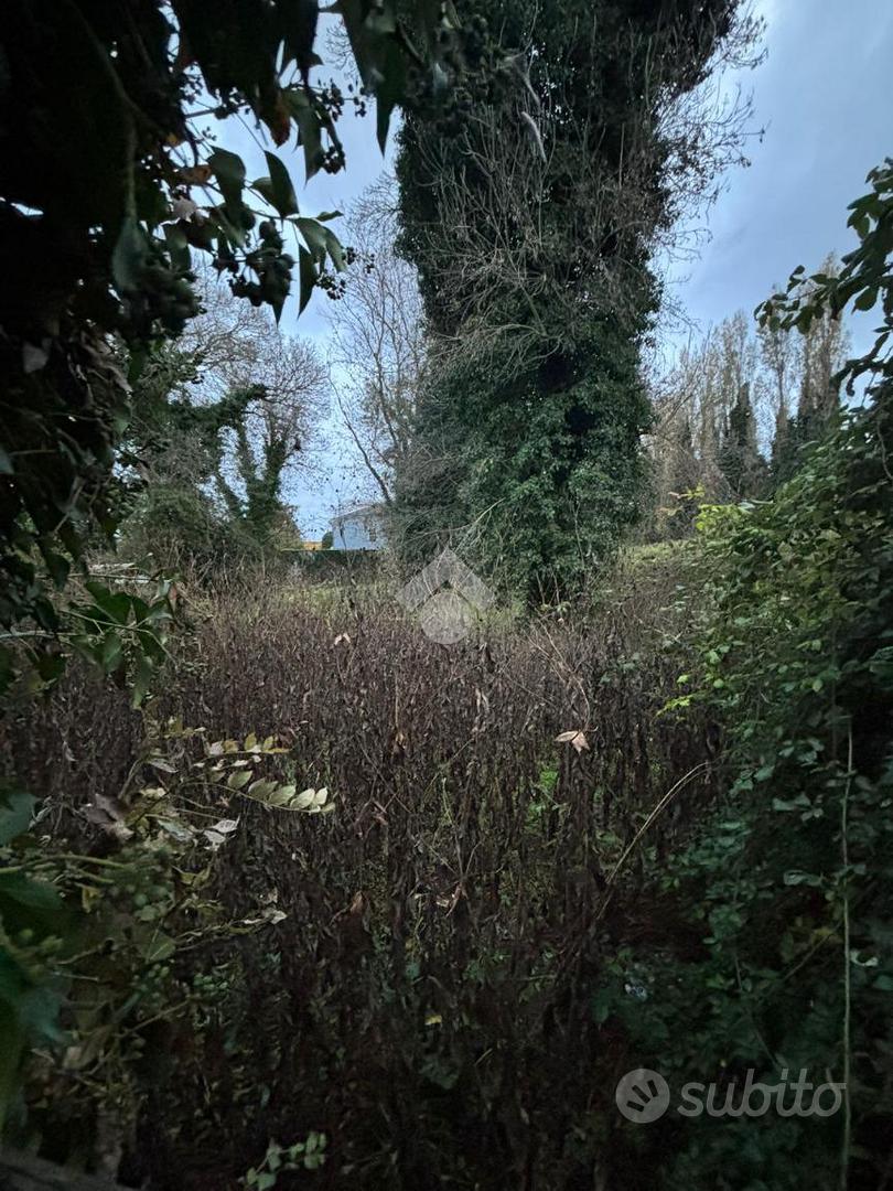TER. AGRICOLO A ROMA - Mehr
