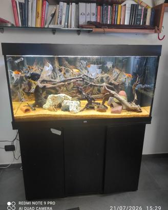 Acquario Juwel Rio 350