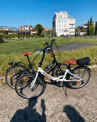 Biciclette pieghevoli 24”