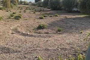 Terreno in zona D