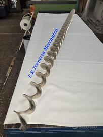 Coclea Sinistrorsa Inox.