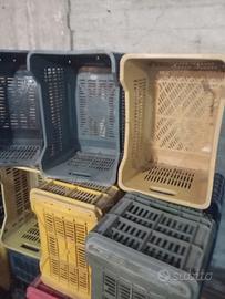 cassette di plastica 