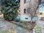 Immagine 12