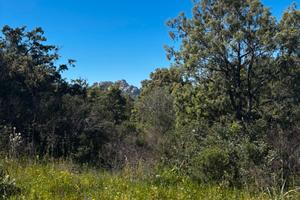 Terreno con vista mare