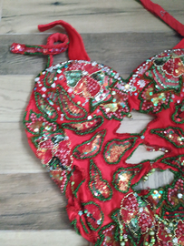 Tutina spettacolo - danza orientale e tribal fusio