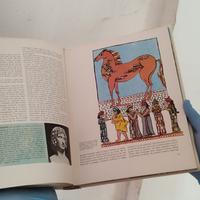 Enciclopedia enciclopedie