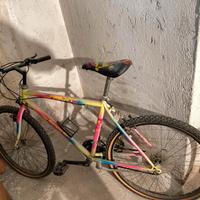 Bicicletta usata