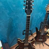 Weston 335 Japan+ borsa.