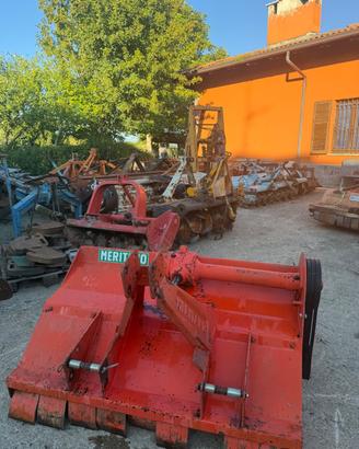 Trincia meritano fissa