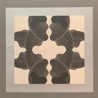 Franco Grignani - Serigrafia