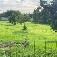 Terreno agricolo recintato