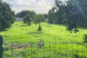 Terreno agricolo recintato