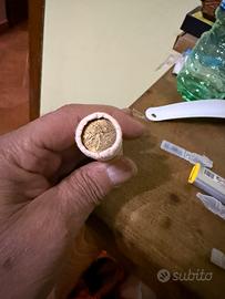 20 lire fdc rotolino