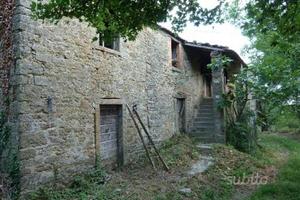 Chitignano COLONICA MQ 500 OLTRE TERRENO