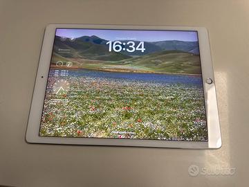 Ipad pro 2da generazione 12”9 wifi cellular 256 gb