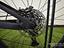 Immagine 11