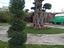 Immagine 3